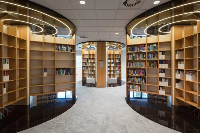 Biblioteka — zabudowy na wymiar — realizacja mebli na wymiar IDEO Burliga
